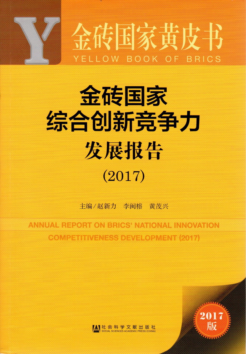 艹比网站软件黄金砖国家综合创新竞争力发展报告（2017）